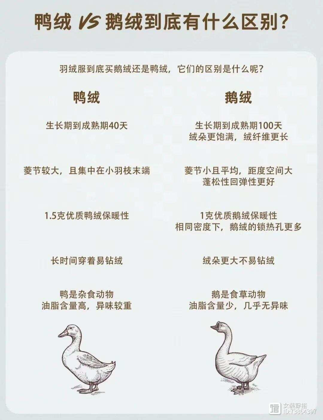 1736303484153651.png 1736303484153651.png