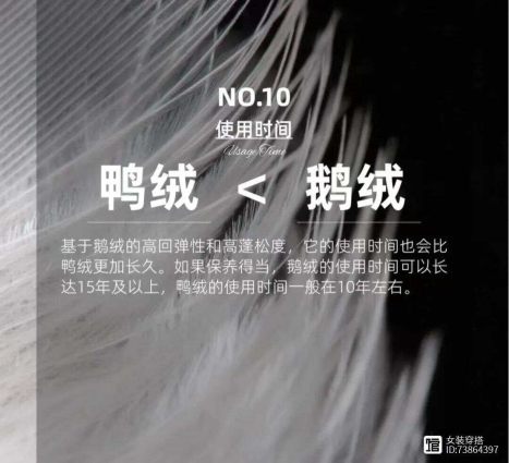 1736303616515468.png image.png